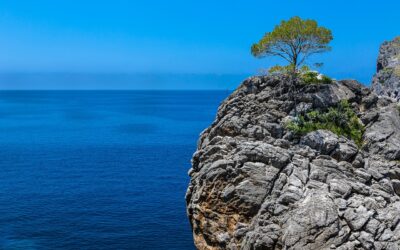 Mallorca Beyond Palma: 6 joyas escondidas
